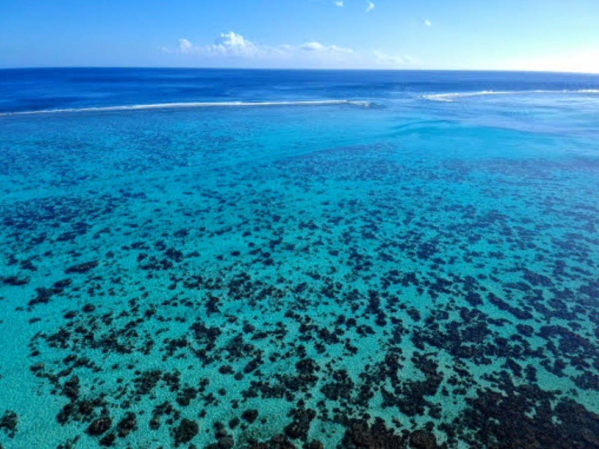 Moorea - Fare Taina Nui Haapiti Exterior photo